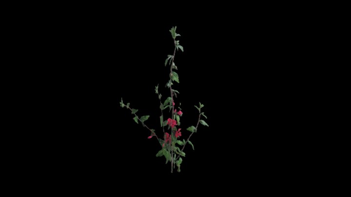 UE项目资源_模型资源_花372