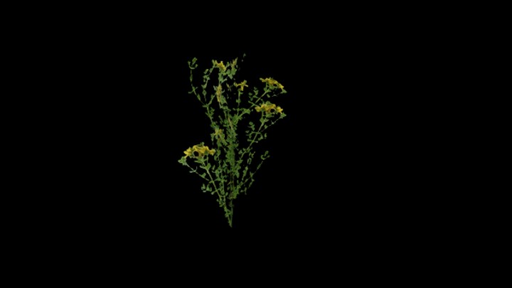 UE项目资源_模型资源_花448