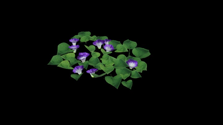 UE项目资源_模型资源_花451