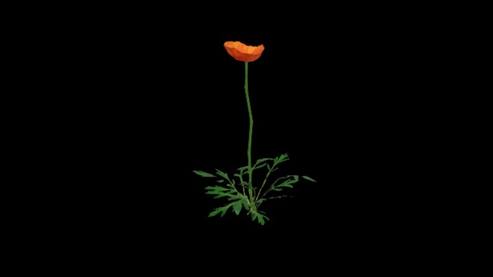 UE项目资源_模型资源_花536