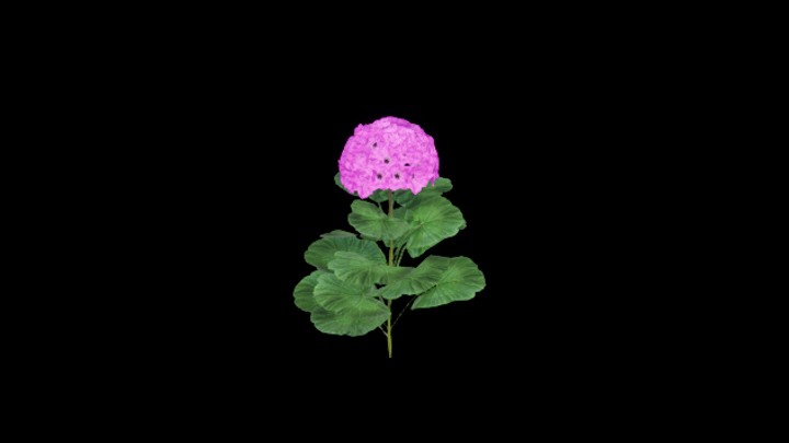 UE项目资源_模型资源_花554