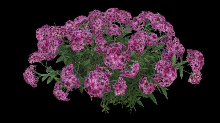 UE项目资源_模型资源_花613