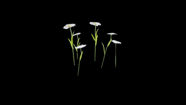 UE项目资源_模型资源_花779