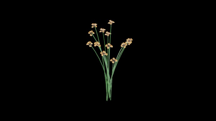 UE项目资源_模型资源_花789