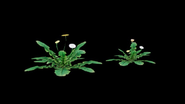 UE项目资源_模型资源_花841