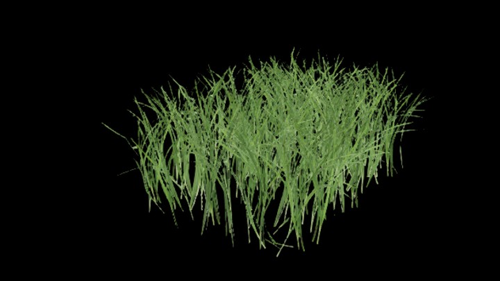 UE项目资源_模型资源_草1005