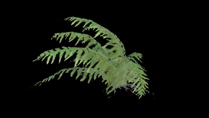 UE项目资源_模型资源_草1046