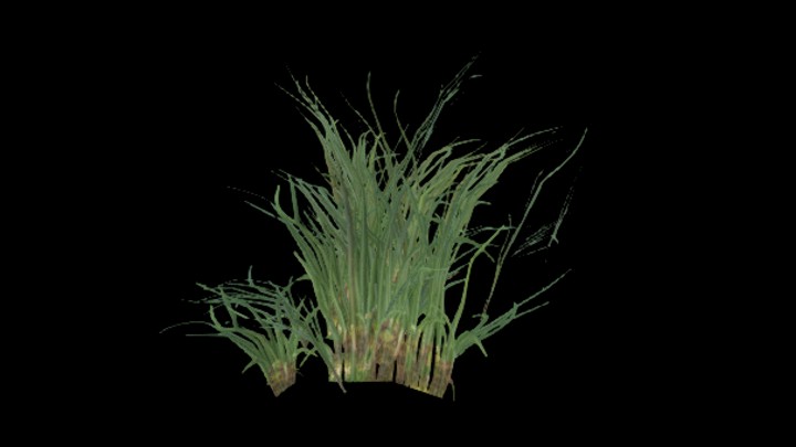 UE项目资源_模型资源_草1050