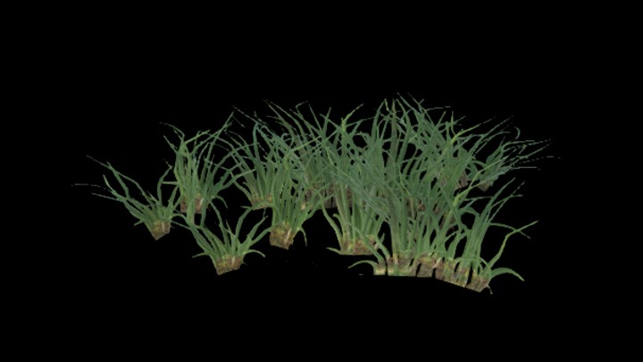 UE项目资源_模型资源_草1052