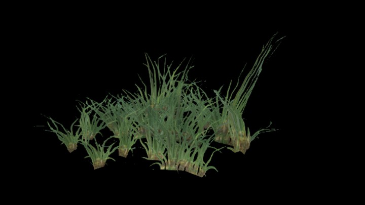 UE项目资源_模型资源_草1053