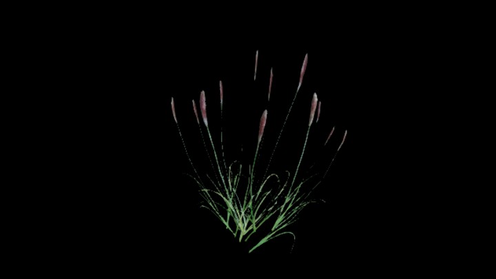 UE项目资源_模型资源_草1061