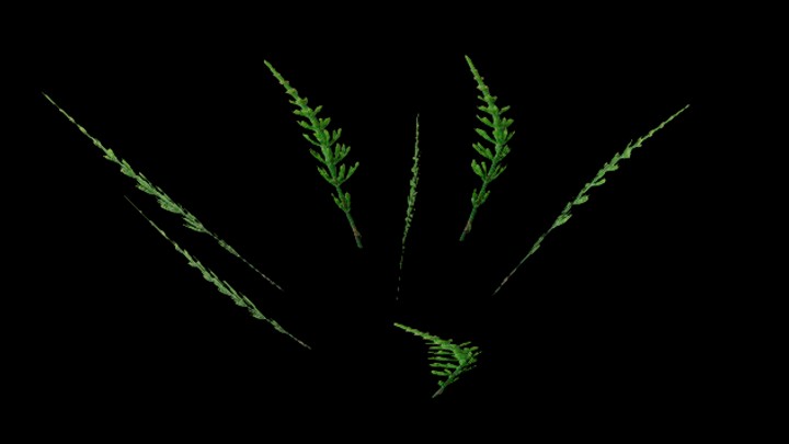 UE项目资源_模型资源_草1072