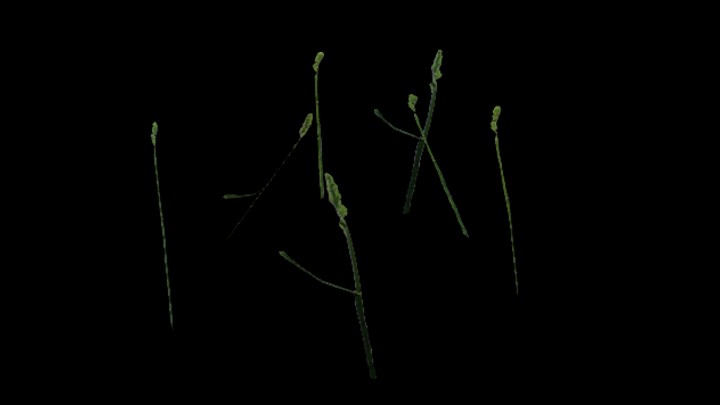 UE项目资源_模型资源_草1074