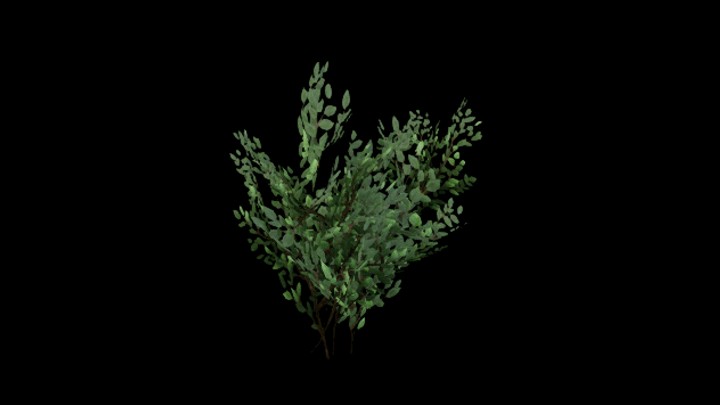 UE项目资源_模型资源_草1088