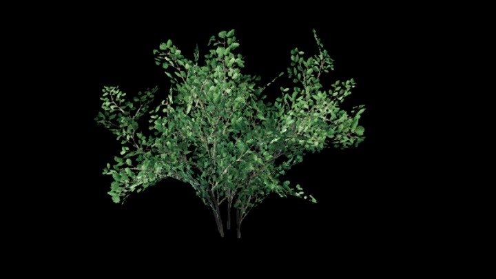 UE项目资源_模型资源_草1093