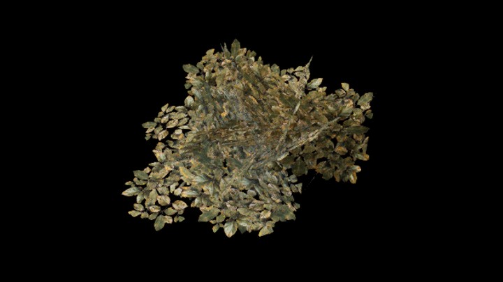 UE项目资源_模型资源_草1095