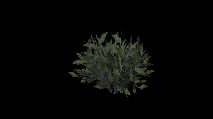 UE项目资源_模型资源_草1102