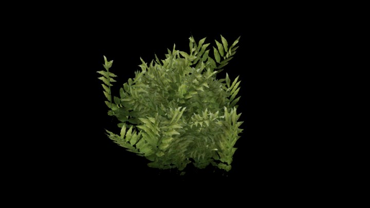 UE项目资源_模型资源_草1108