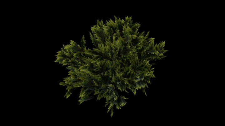 UE项目资源_模型资源_草1109