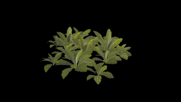 UE项目资源_模型资源_草1122