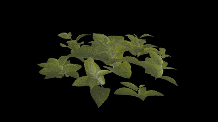 UE项目资源_模型资源_草1124