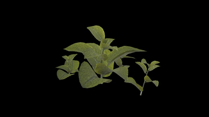 UE项目资源_模型资源_草1125