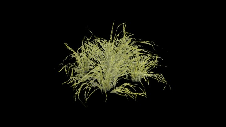 UE项目资源_模型资源_草1150