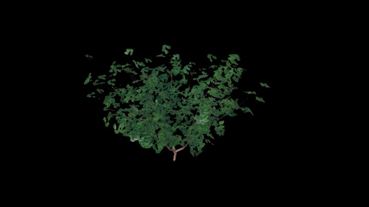 UE项目资源_模型资源_草1154