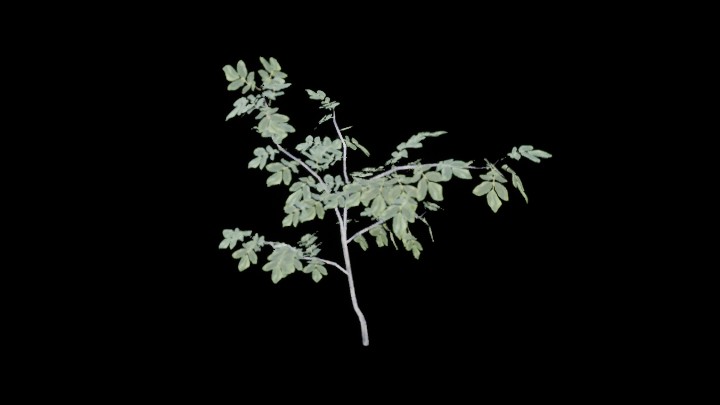 UE项目资源_模型资源_草1162