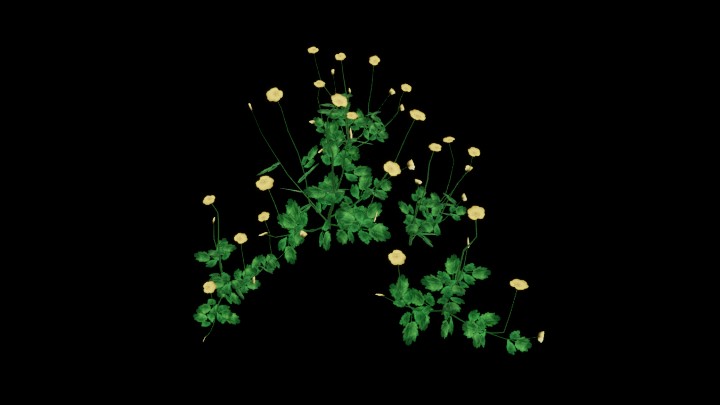 UE项目资源_模型资源_草1164