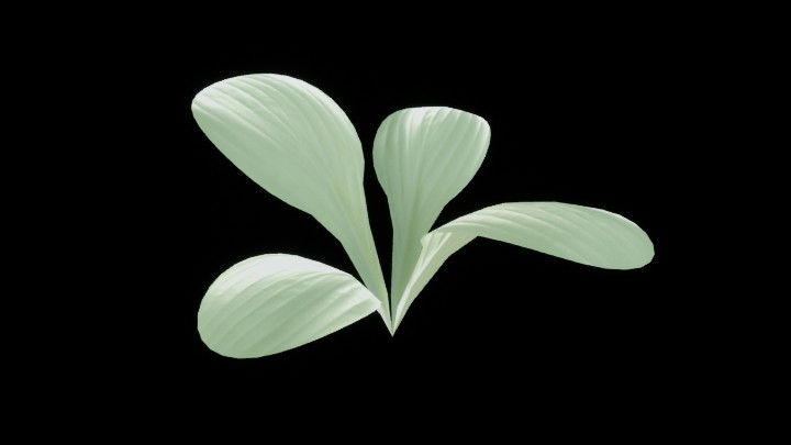 UE项目资源_模型资源_草1172