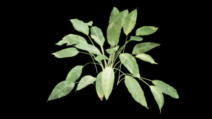 UE项目资源_模型资源_草1187