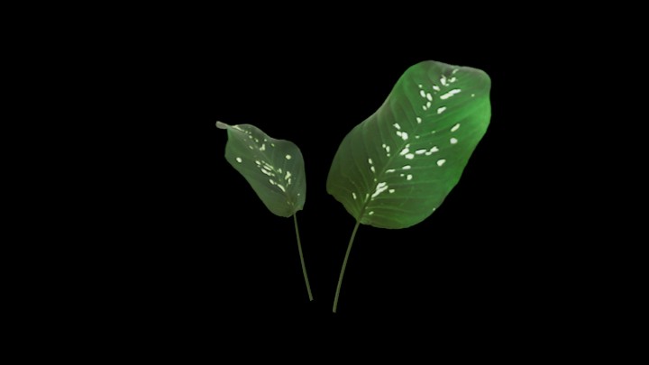 UE项目资源_模型资源_草1196