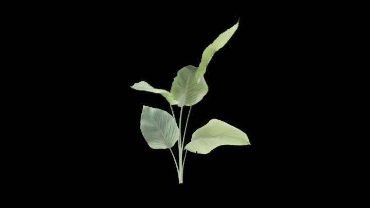 UE项目资源_模型资源_草1203