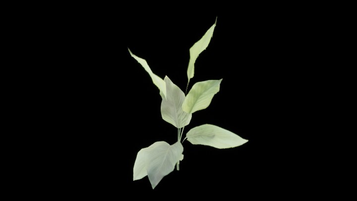 UE项目资源_模型资源_草1204