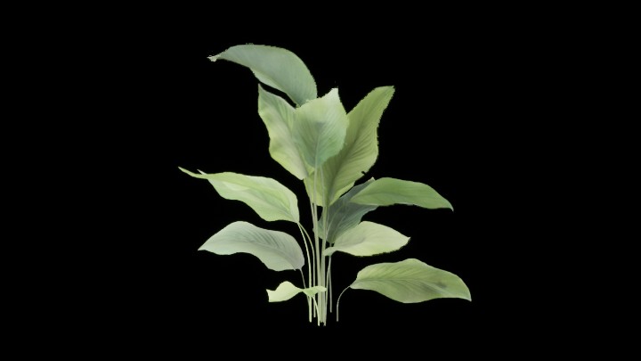 UE项目资源_模型资源_草1205