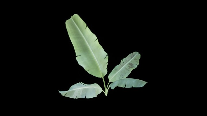 UE项目资源_模型资源_草1206