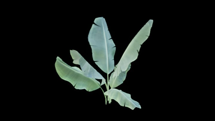 UE项目资源_模型资源_草1208