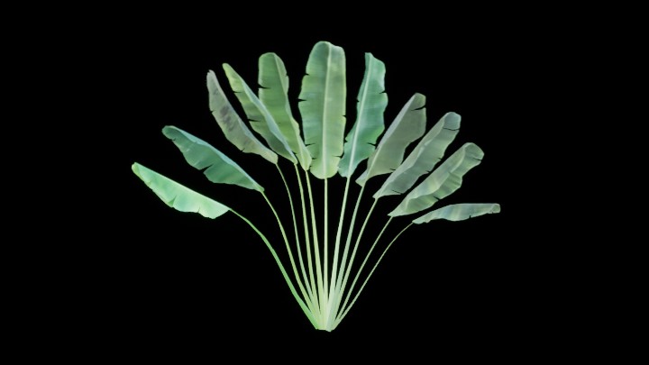 UE项目资源_模型资源_草1214