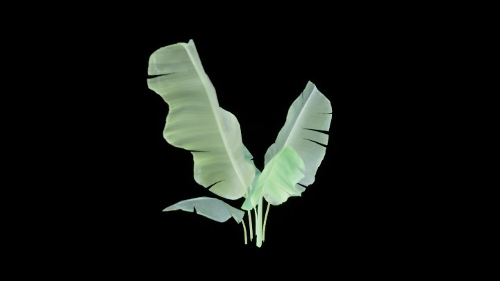 UE项目资源_模型资源_草1217