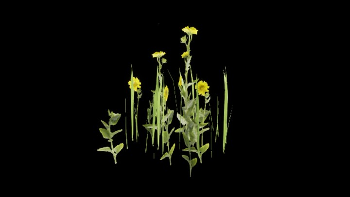 UE项目资源_模型资源_草1247