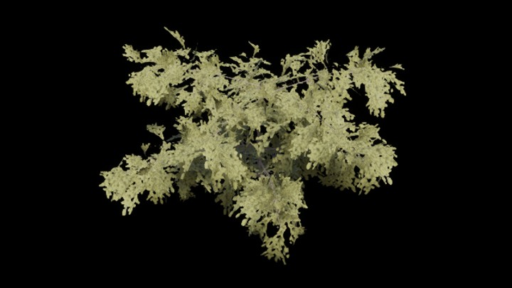 UE项目资源_模型资源_草1258