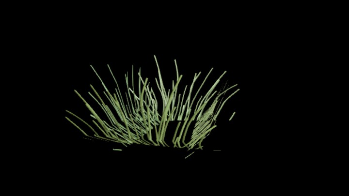 UE项目资源_模型资源_草1282