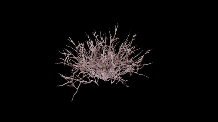 UE项目资源_模型资源_草1317