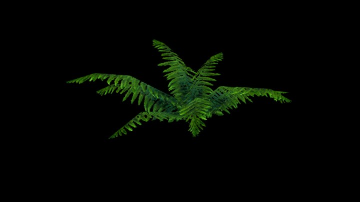 UE项目资源_模型资源_草1325