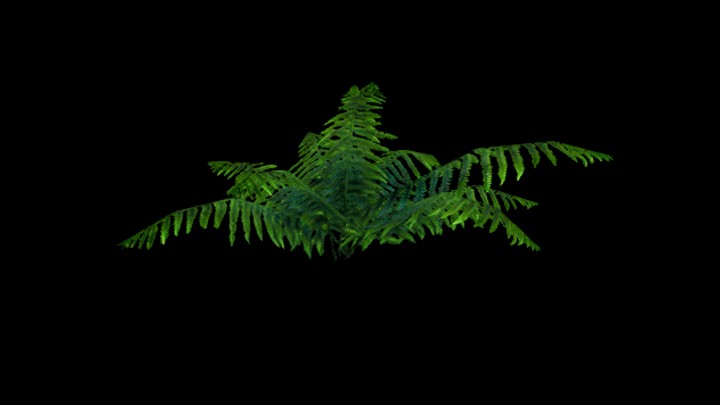 UE项目资源_模型资源_草1326