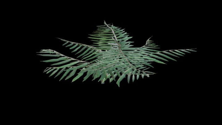 UE项目资源_模型资源_草1331