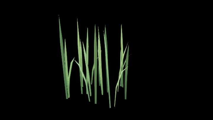 UE项目资源_模型资源_草1353