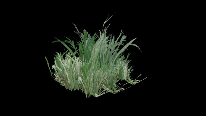 UE项目资源_模型资源_草1366