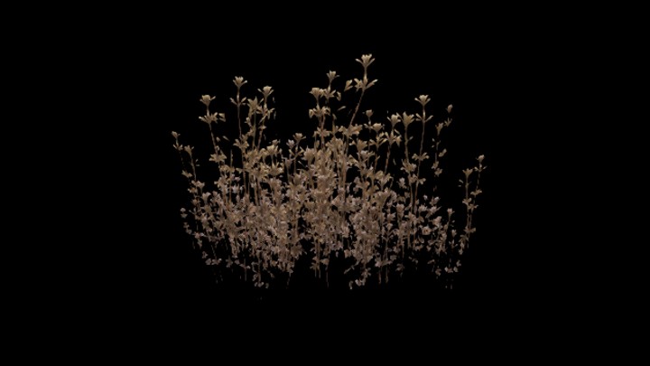 UE项目资源_模型资源_草1376